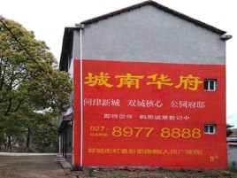 启东百分之90的人都不了解的农村墙体广告