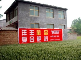 启东如何让墙体广告展现最大化效果