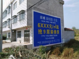 启东墙体广告质量分析