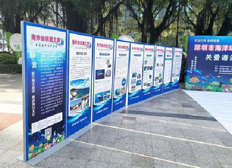 启东KT板的种类和知识。